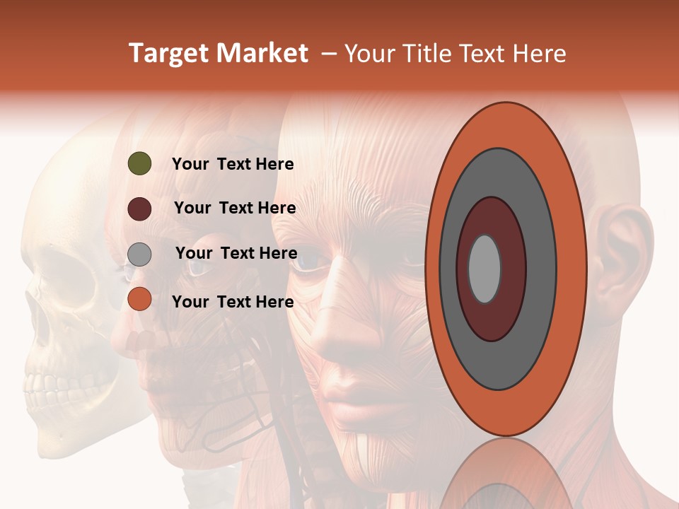 Chest Anatomically Isolated PowerPoint Template