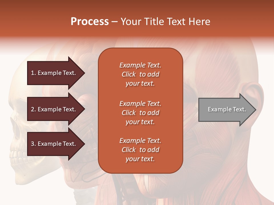 Chest Anatomically Isolated PowerPoint Template