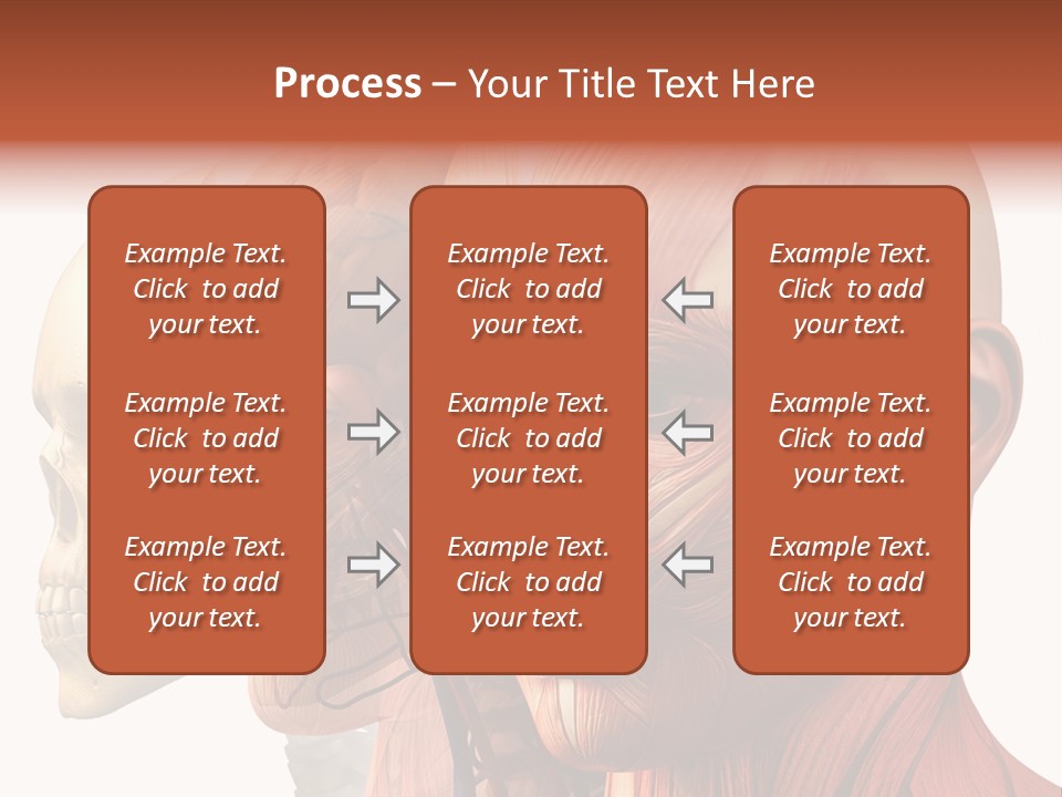 Chest Anatomically Isolated PowerPoint Template