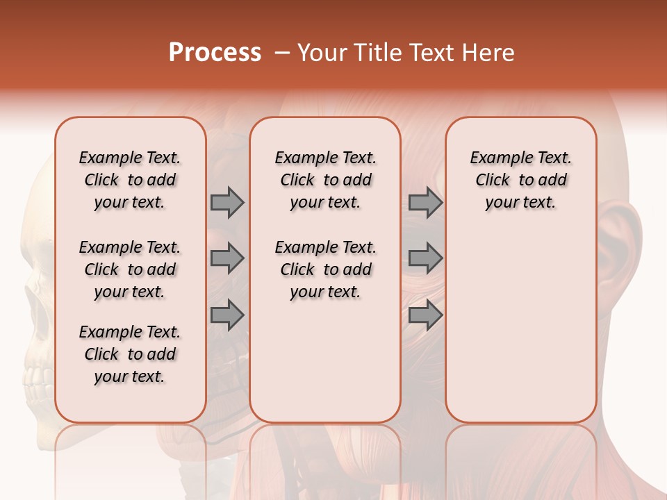Chest Anatomically Isolated PowerPoint Template