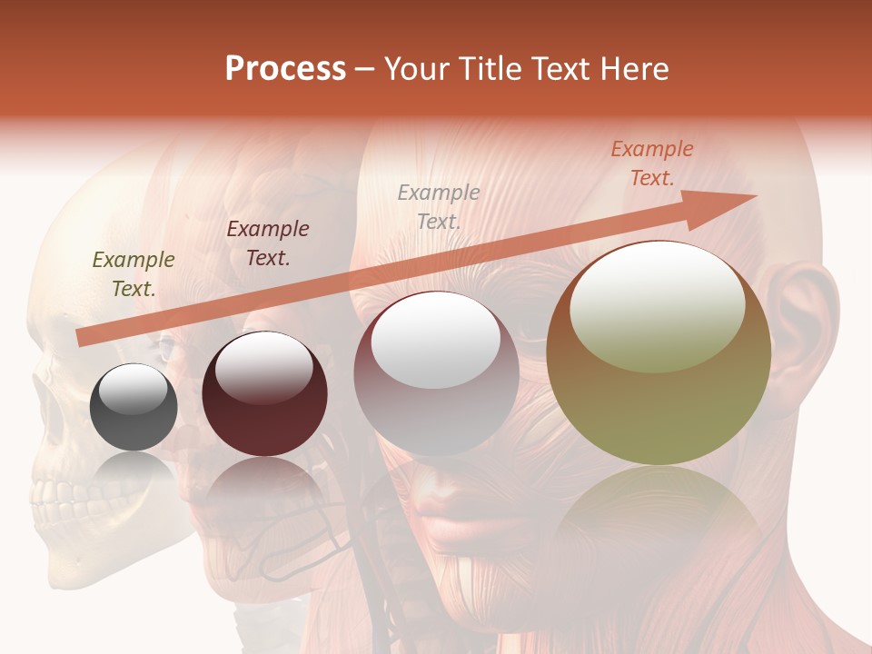 Chest Anatomically Isolated PowerPoint Template