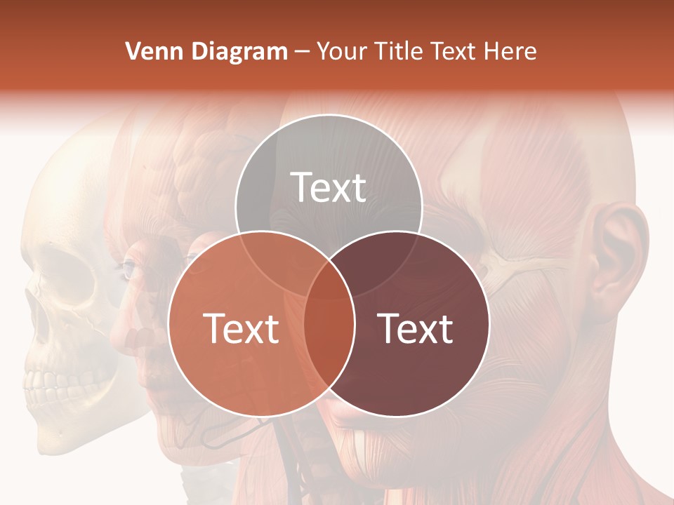 Chest Anatomically Isolated PowerPoint Template