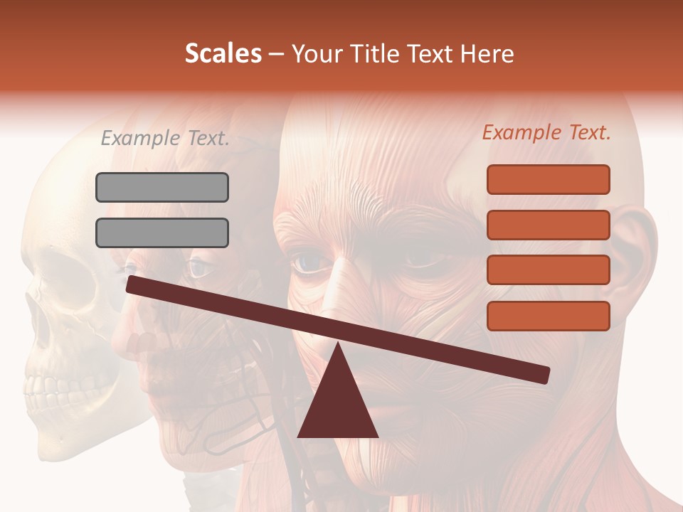 Chest Anatomically Isolated PowerPoint Template