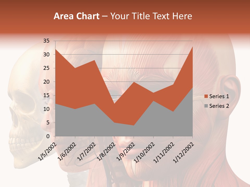 Chest Anatomically Isolated PowerPoint Template