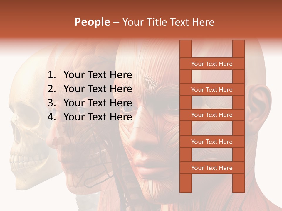 Chest Anatomically Isolated PowerPoint Template