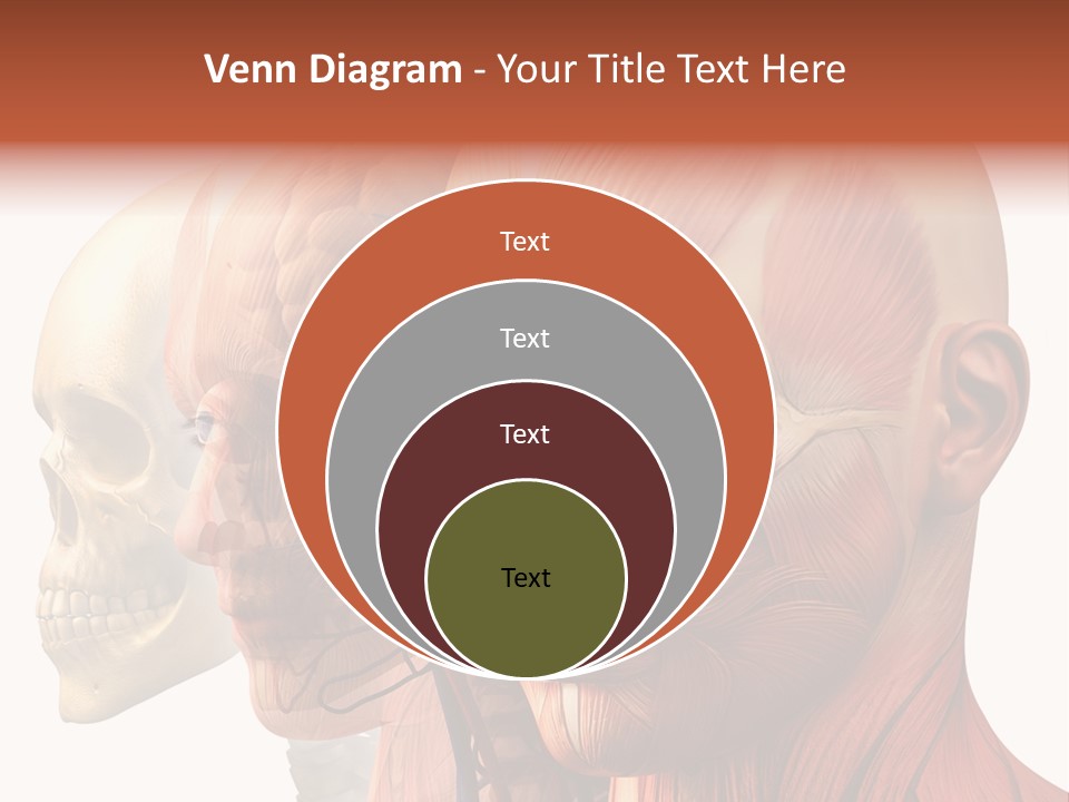 Chest Anatomically Isolated PowerPoint Template