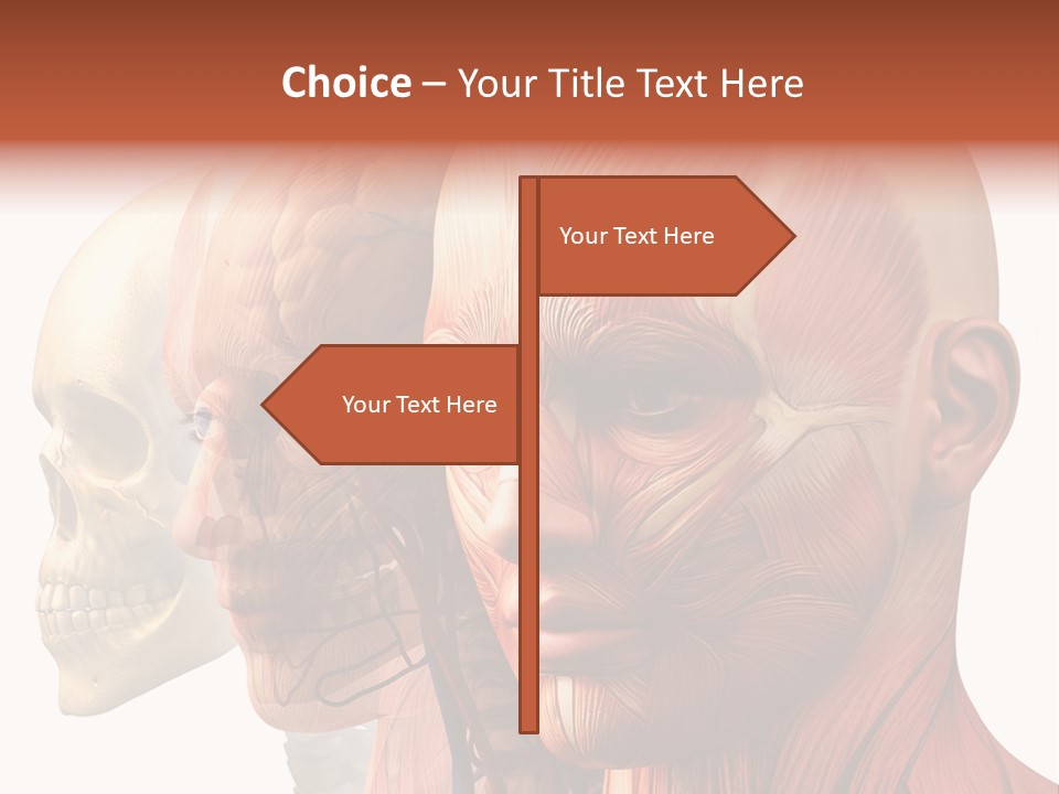 Chest Anatomically Isolated PowerPoint Template