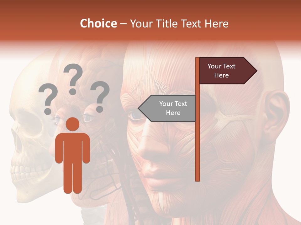 Chest Anatomically Isolated PowerPoint Template