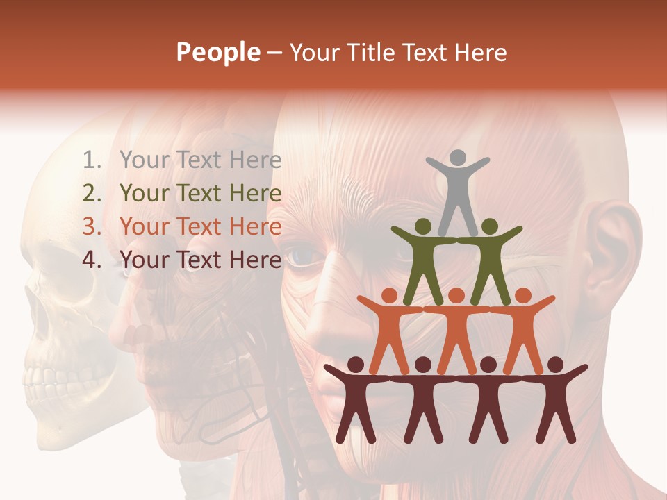 Chest Anatomically Isolated PowerPoint Template