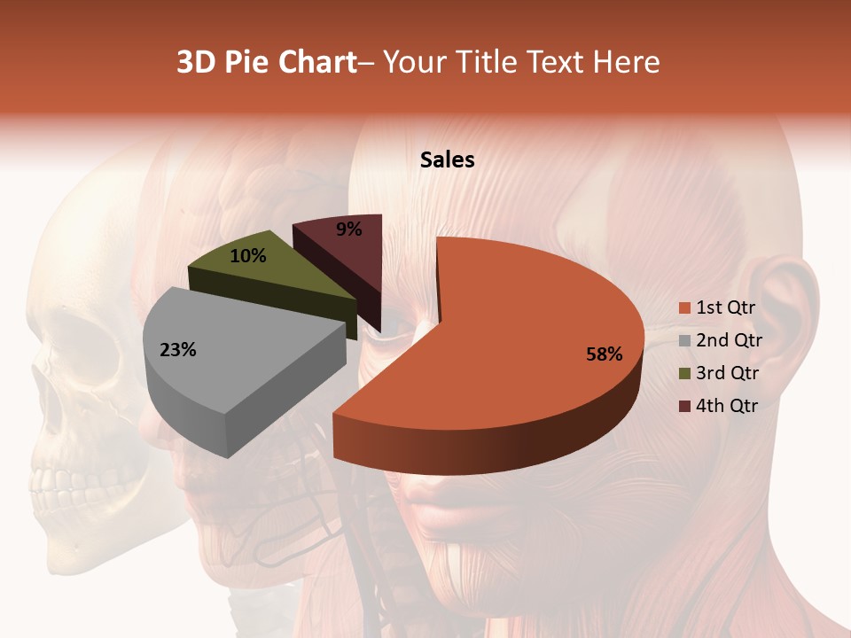 Chest Anatomically Isolated PowerPoint Template