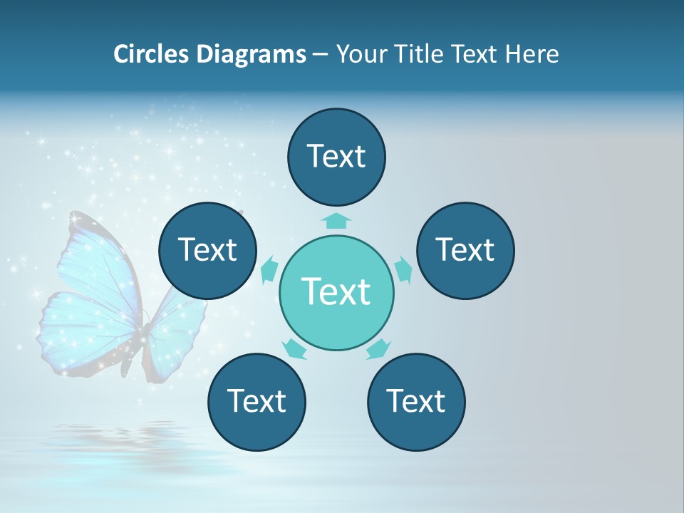 Blue Fly Colorful PowerPoint Template