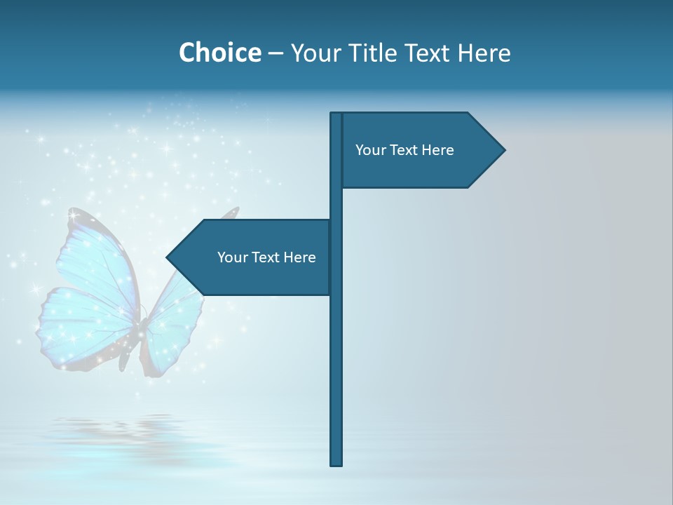 Blue Fly Colorful PowerPoint Template