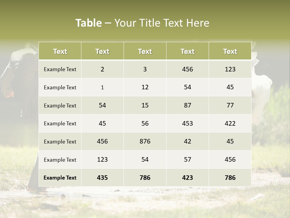 Spa Trauung Kleid PowerPoint Template