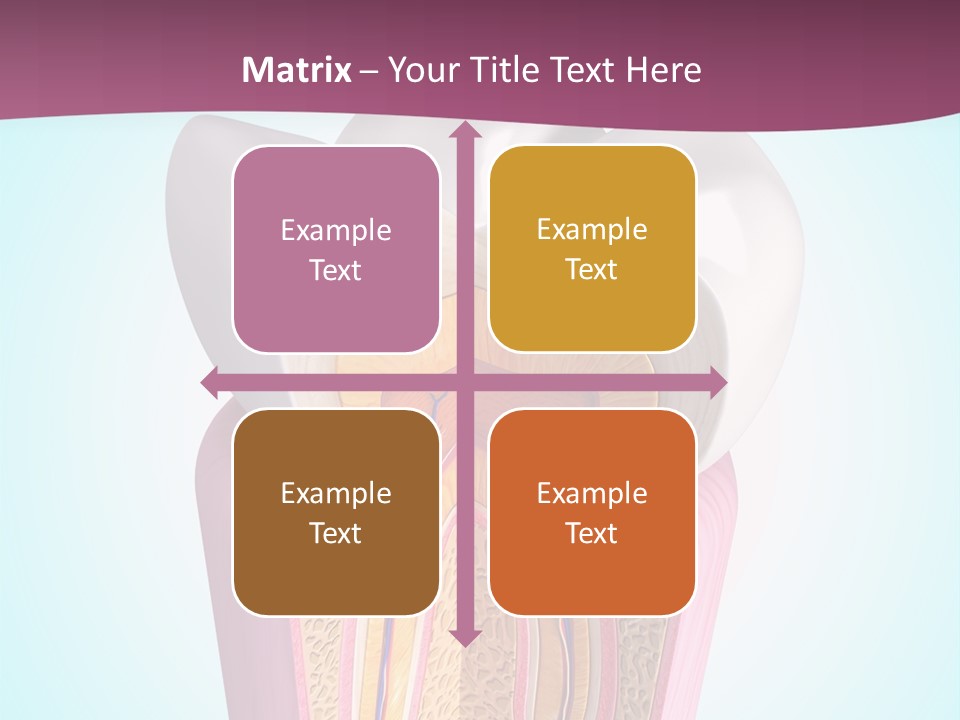Bone Clinic Mouth PowerPoint Template