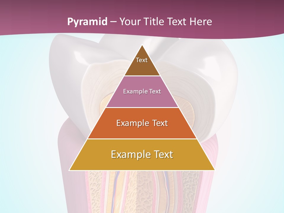Bone Clinic Mouth PowerPoint Template