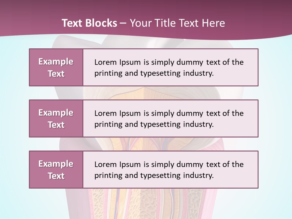 Bone Clinic Mouth PowerPoint Template