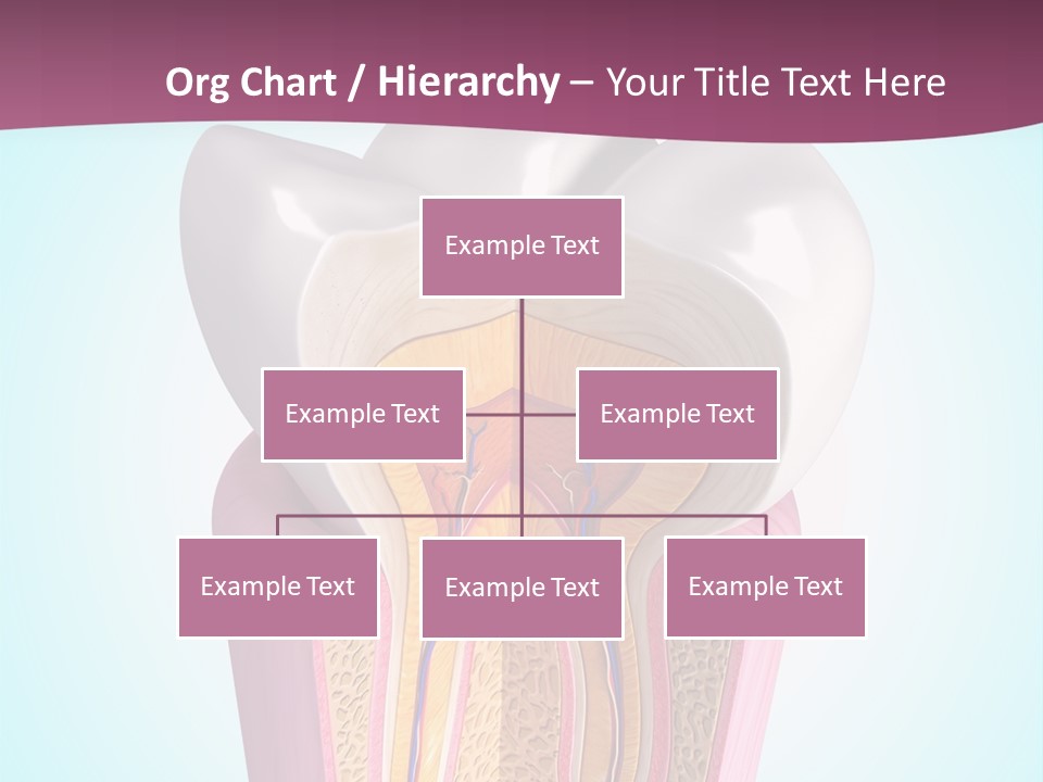Bone Clinic Mouth PowerPoint Template