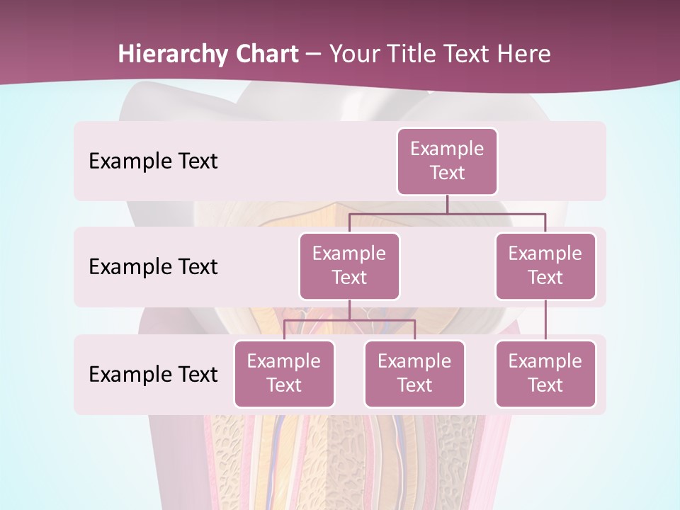 Bone Clinic Mouth PowerPoint Template