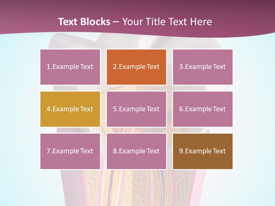 Bone Clinic Mouth PowerPoint Template