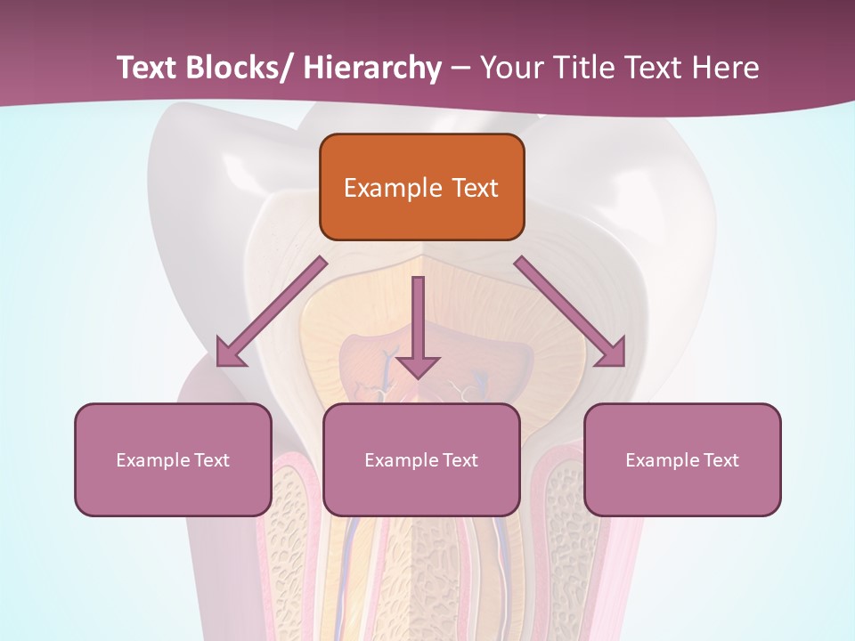 Bone Clinic Mouth PowerPoint Template