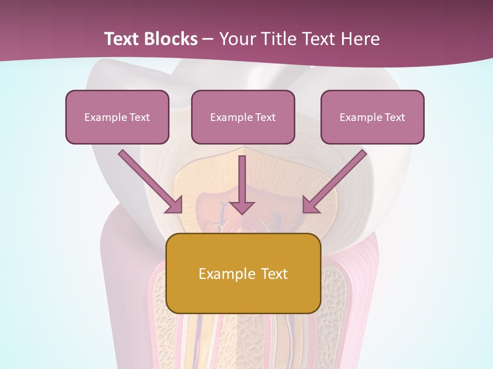 Bone Clinic Mouth PowerPoint Template