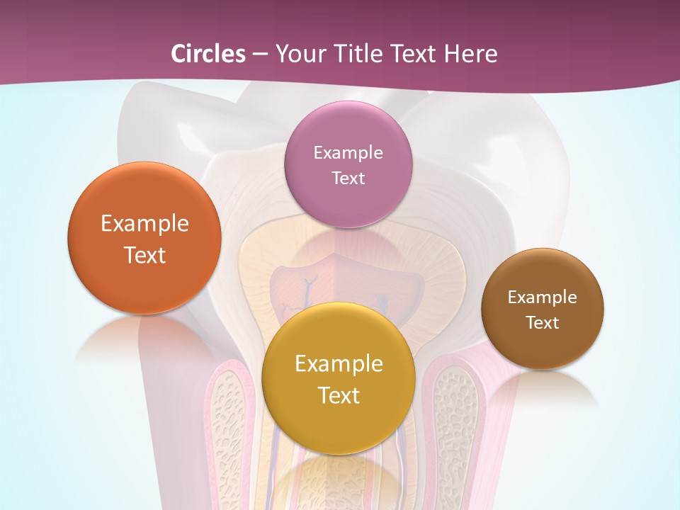 Bone Clinic Mouth PowerPoint Template