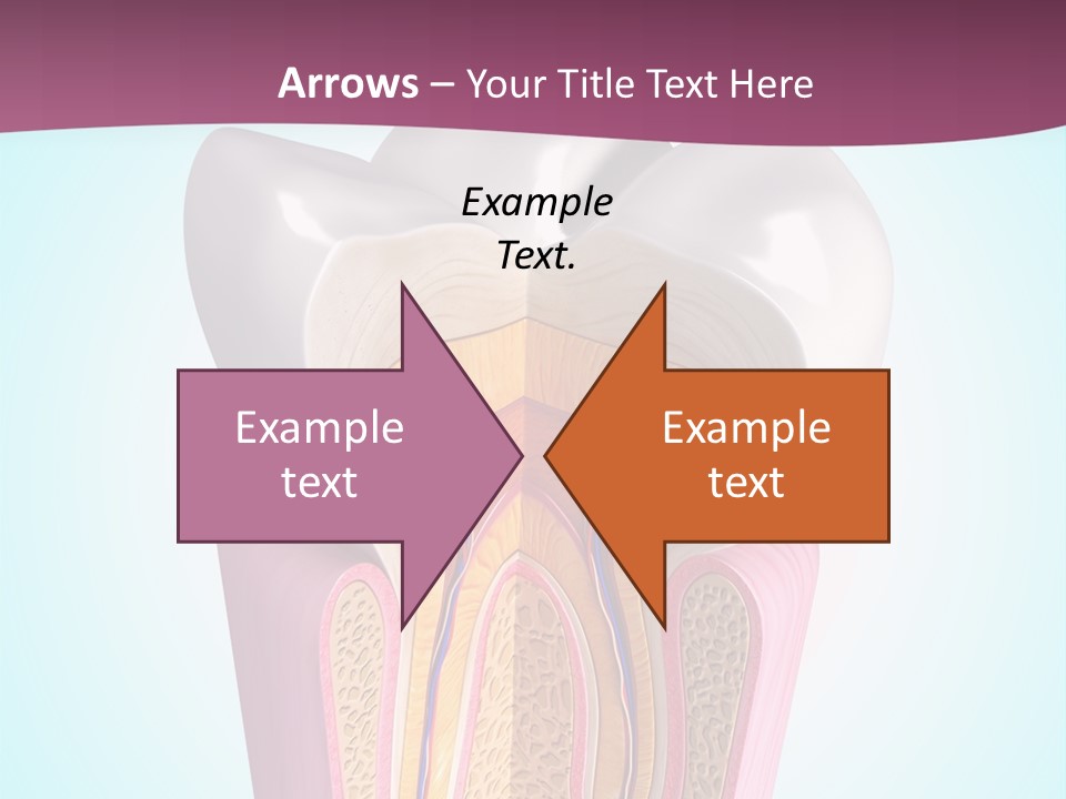 Bone Clinic Mouth PowerPoint Template