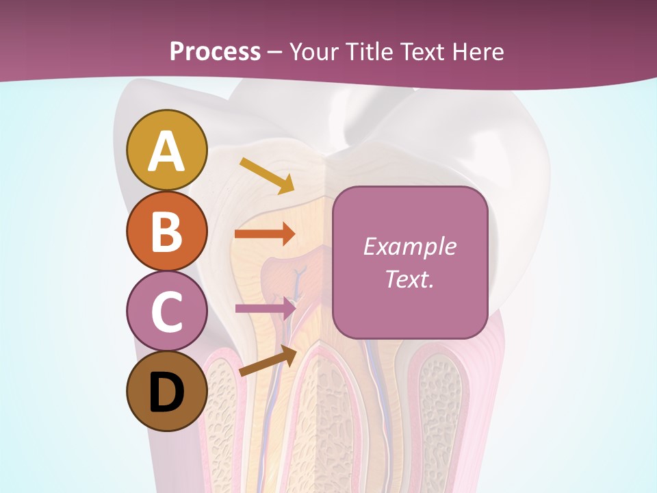 Bone Clinic Mouth PowerPoint Template