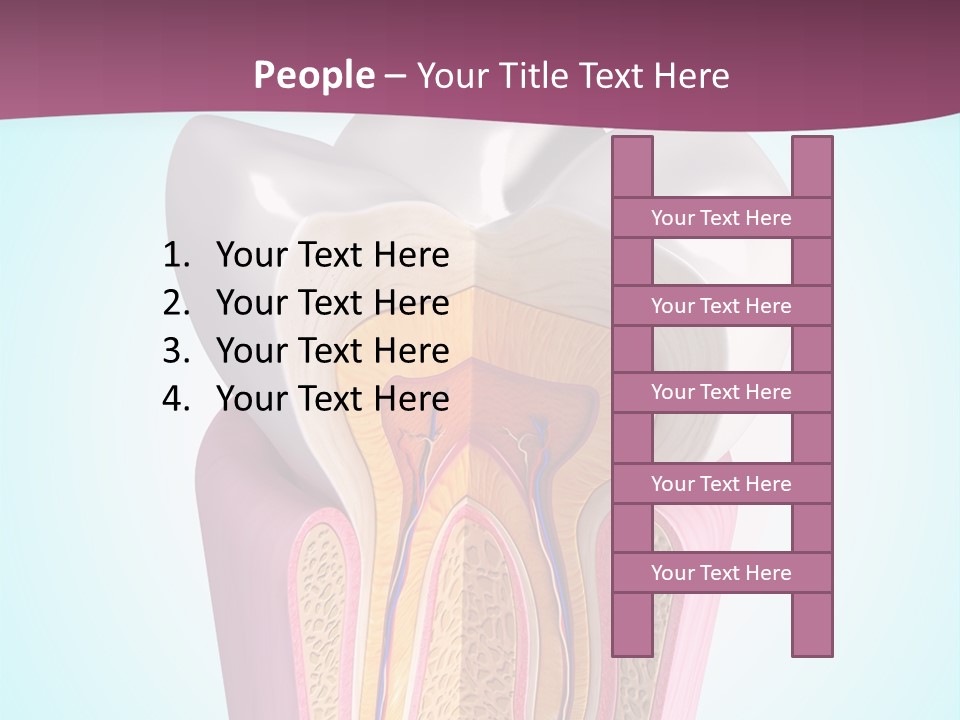 Bone Clinic Mouth PowerPoint Template