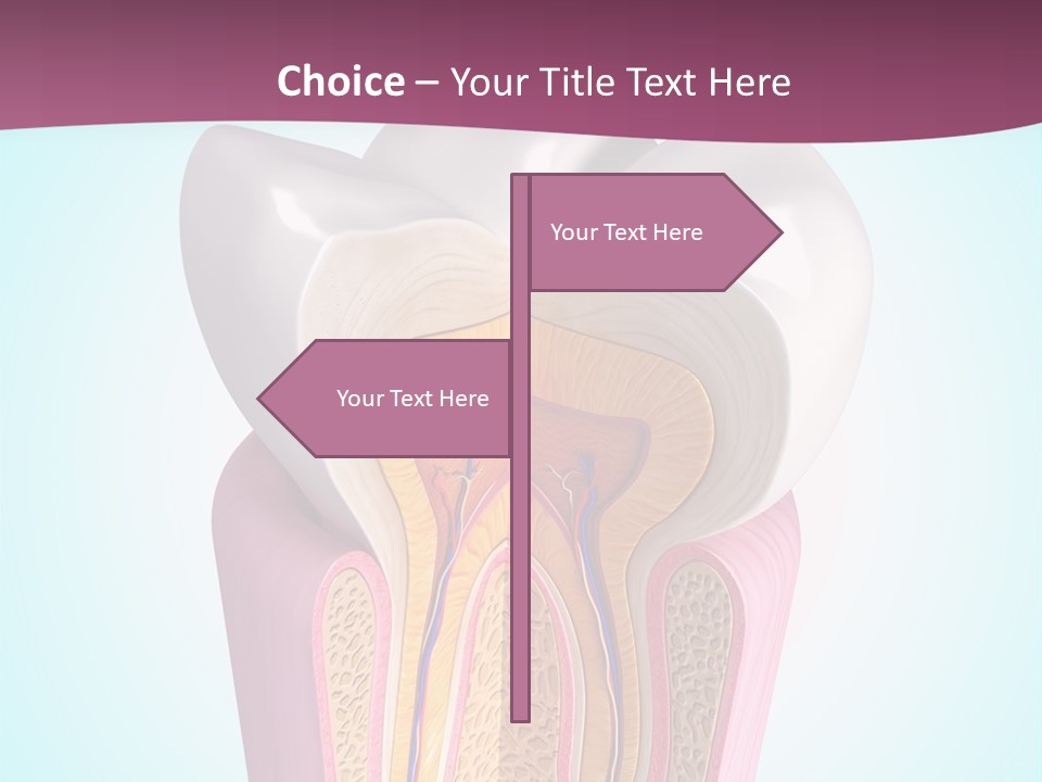 Bone Clinic Mouth PowerPoint Template