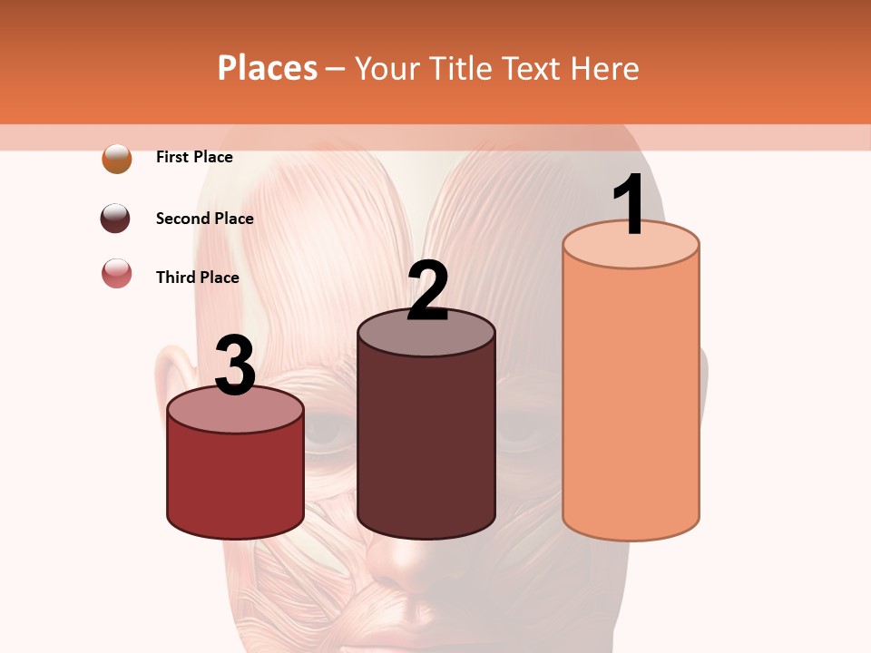 Tendon Healthy Chest PowerPoint Template