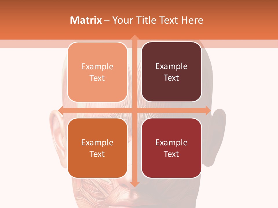 Tendon Healthy Chest PowerPoint Template