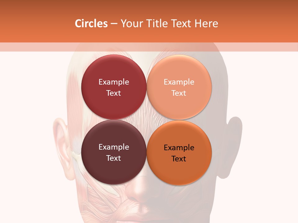 Tendon Healthy Chest PowerPoint Template