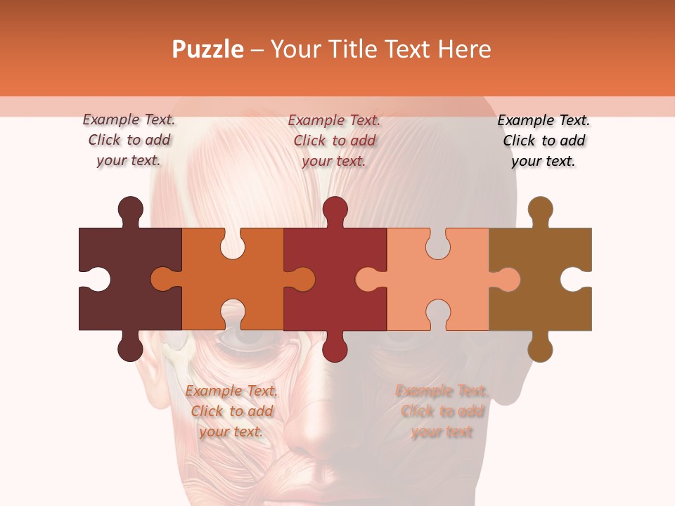 Tendon Healthy Chest PowerPoint Template