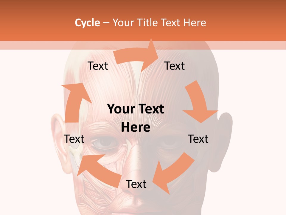 Tendon Healthy Chest PowerPoint Template
