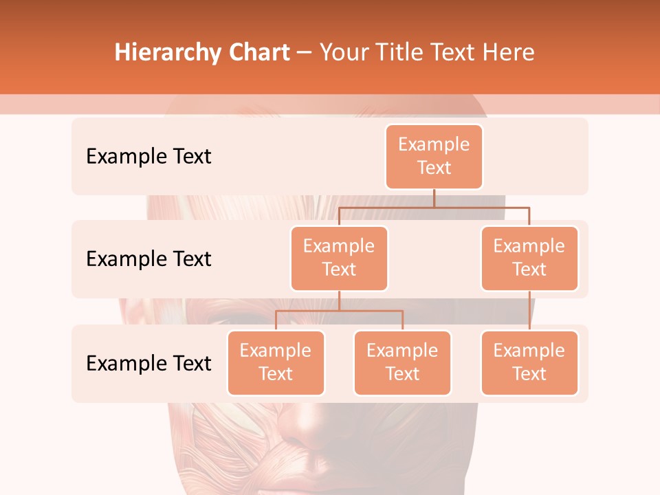 Tendon Healthy Chest PowerPoint Template