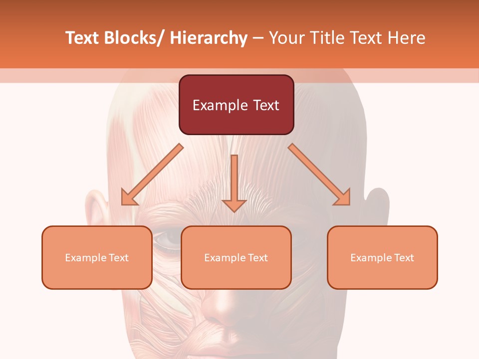 Tendon Healthy Chest PowerPoint Template
