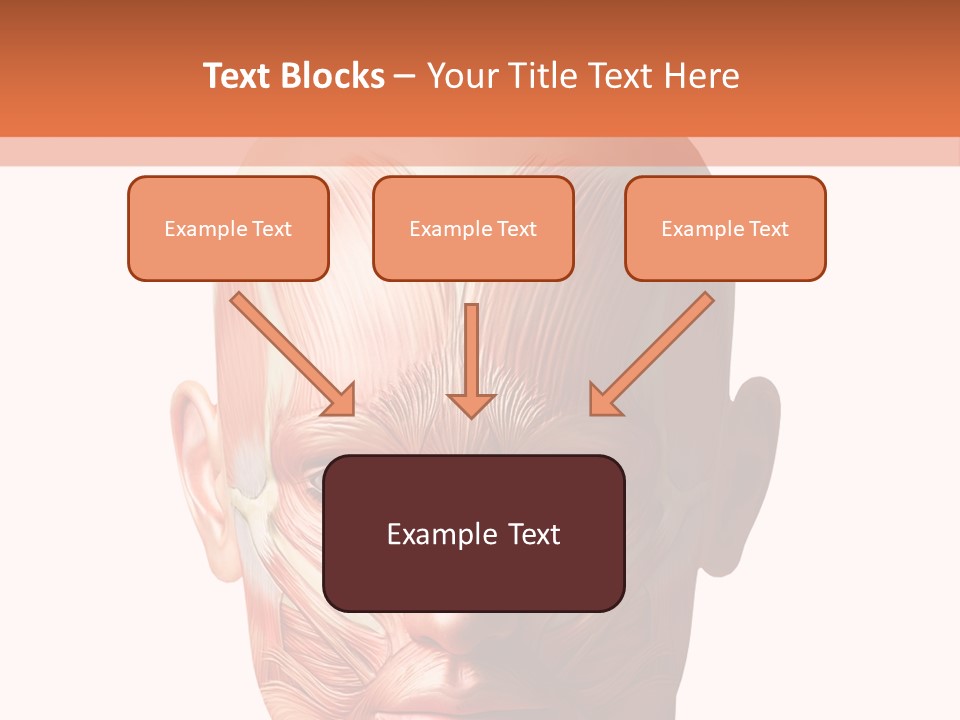 Tendon Healthy Chest PowerPoint Template