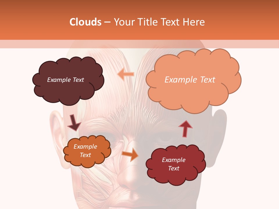 Tendon Healthy Chest PowerPoint Template