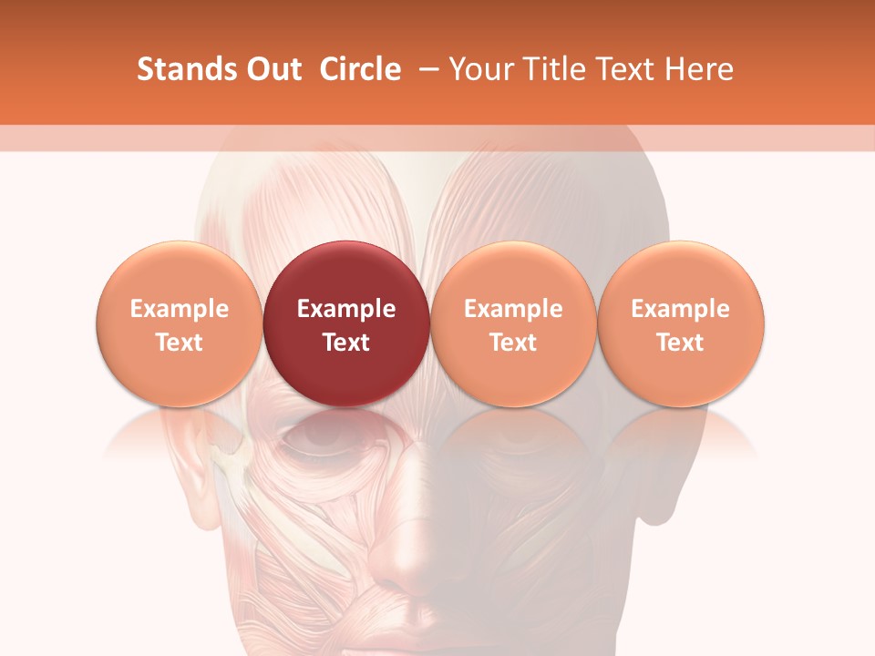 Tendon Healthy Chest PowerPoint Template