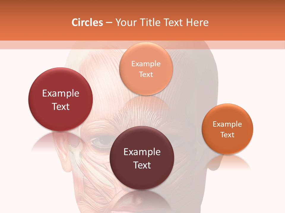 Tendon Healthy Chest PowerPoint Template