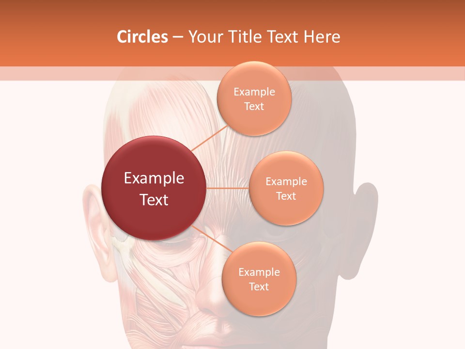 Tendon Healthy Chest PowerPoint Template