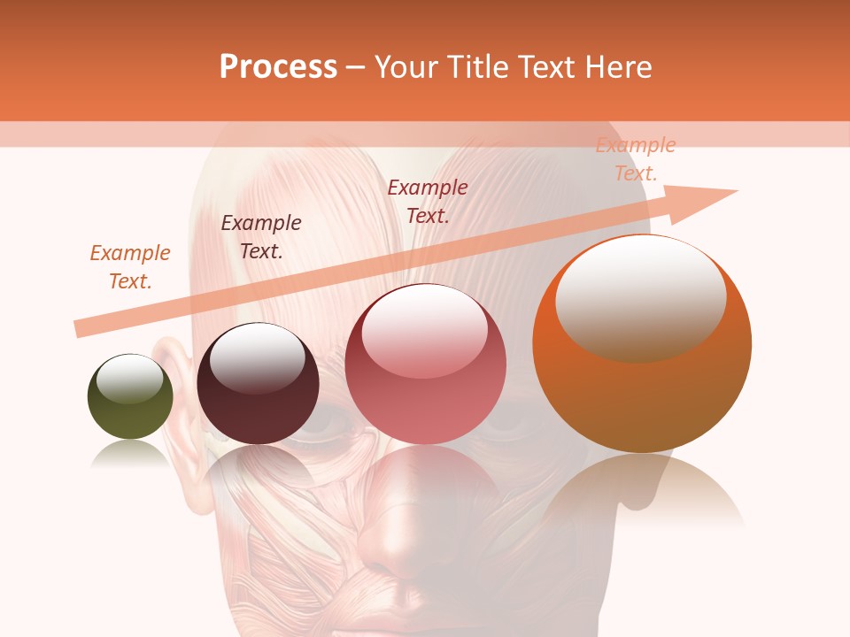 Tendon Healthy Chest PowerPoint Template