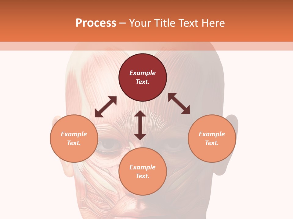 Tendon Healthy Chest PowerPoint Template