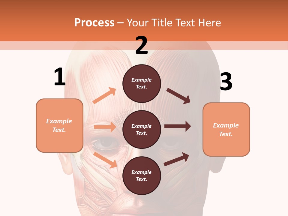 Tendon Healthy Chest PowerPoint Template