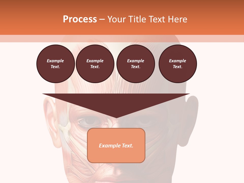 Tendon Healthy Chest PowerPoint Template