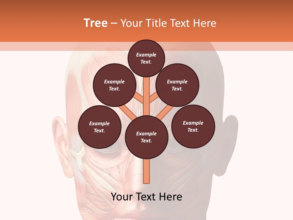 Tendon Healthy Chest PowerPoint Template