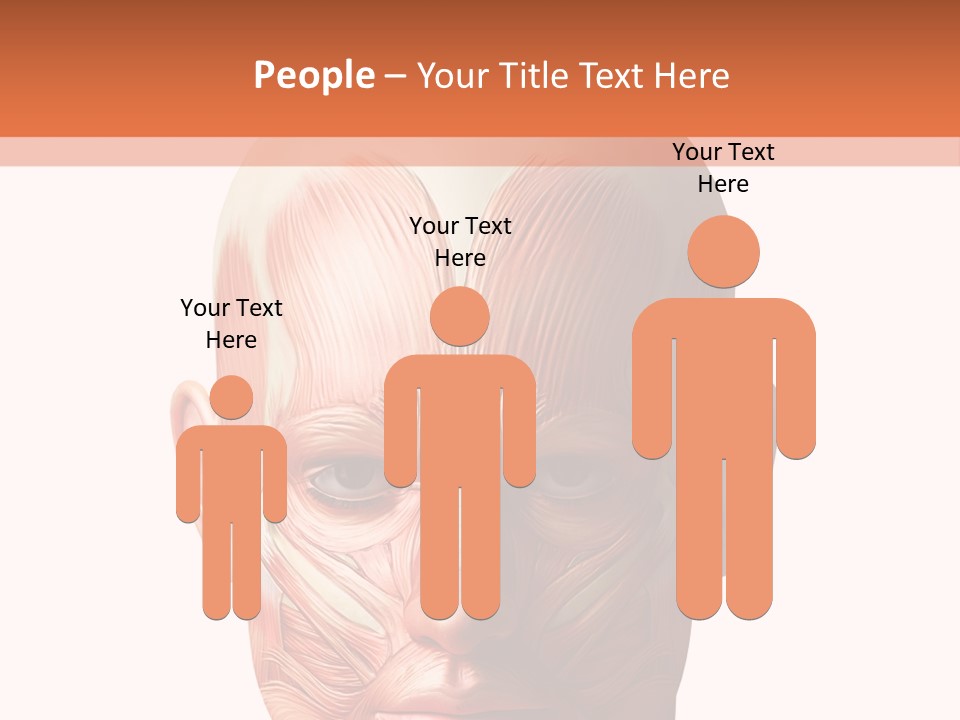 Tendon Healthy Chest PowerPoint Template