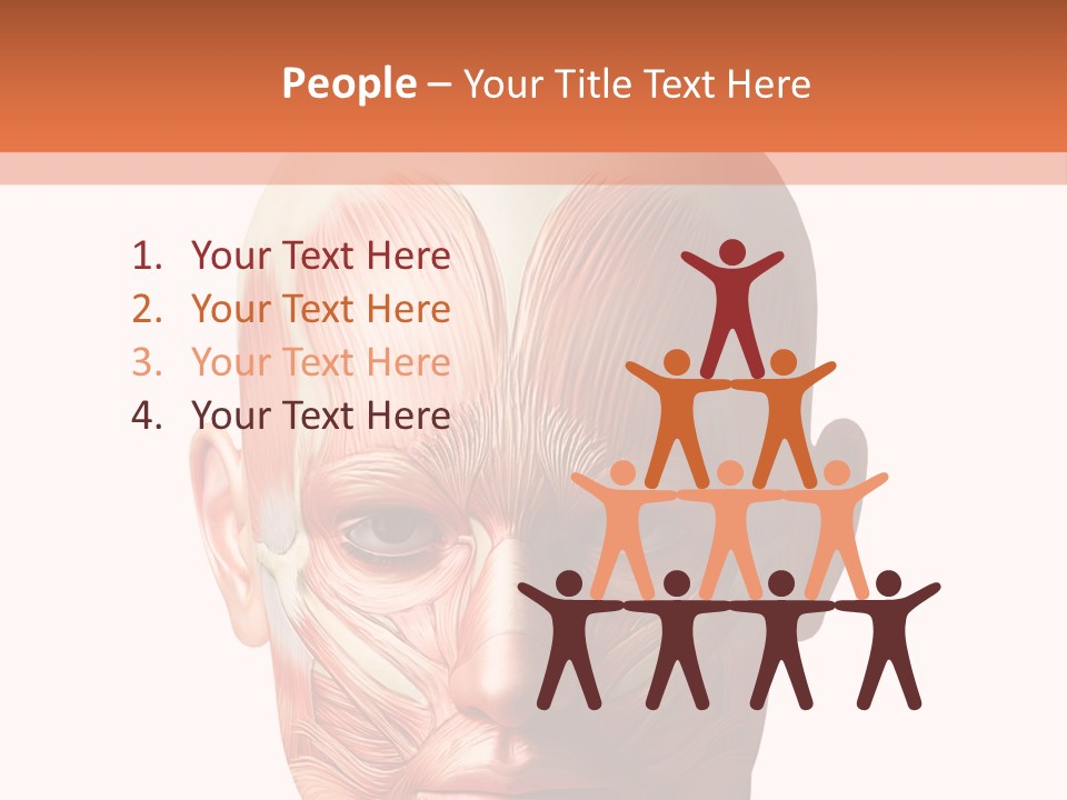 Tendon Healthy Chest PowerPoint Template