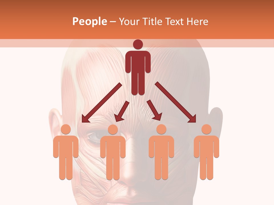 Tendon Healthy Chest PowerPoint Template